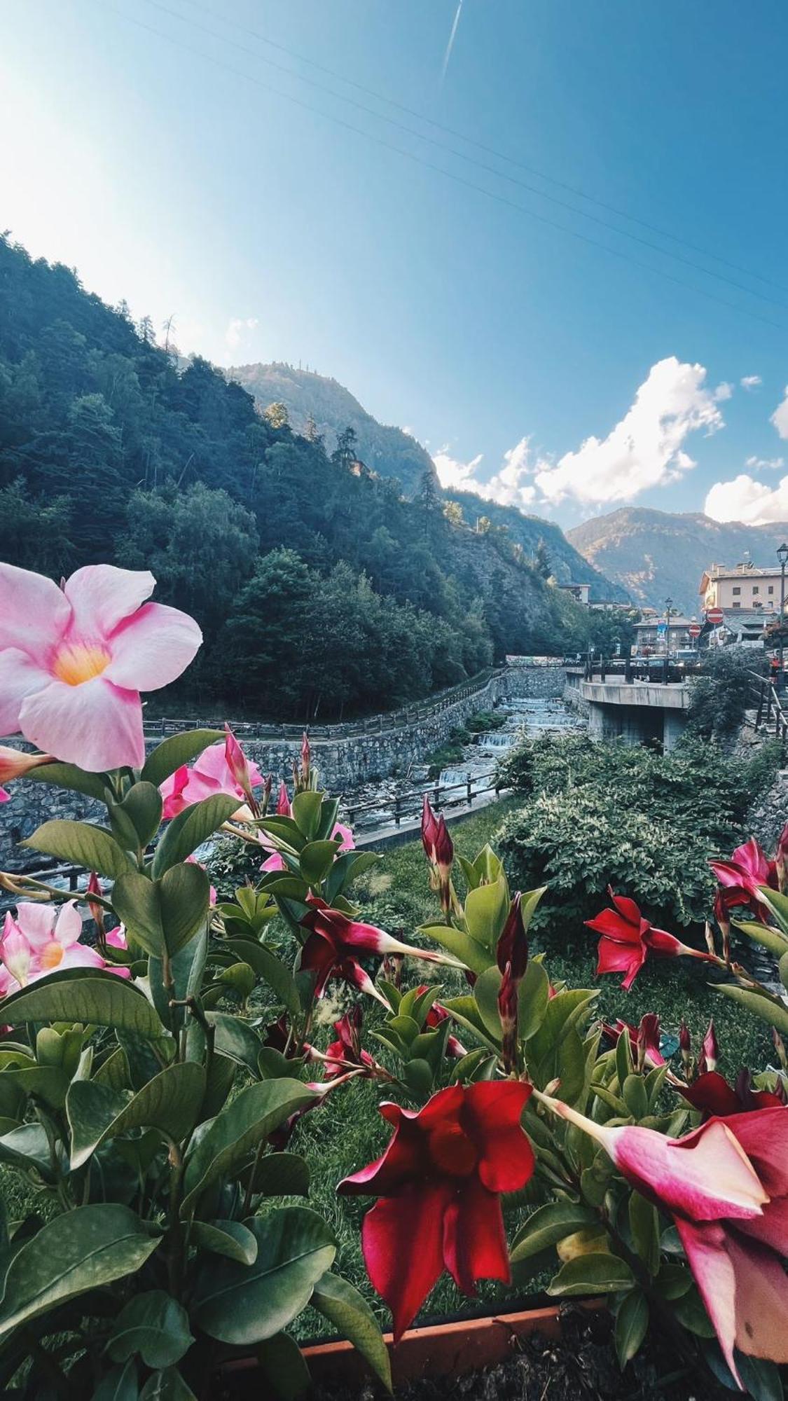 Locanda Monte Cervino Antey-Saint-Andre Luaran gambar